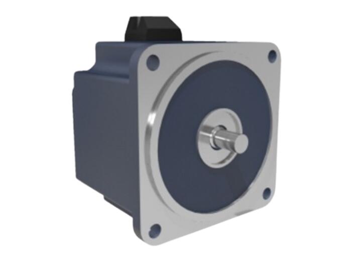 Rare Earth Permanent Magnet Synchronous Motor: A Green and Efficient Solution